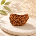 1 Mukhi Rudraksha