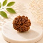 10 Mukhi Rudraksha
