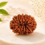 13 Mukhi Rudraksha