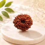 15 Mukhi Rudraksha