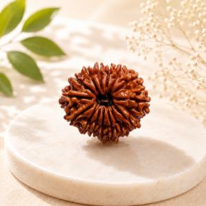 15 Mukhi Rudraksha