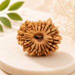 18 Mukhi Rudraksha