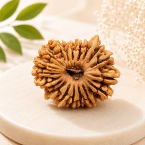 18 Mukhi Rudraksha