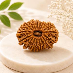 19 Mukhi Rudraksha
