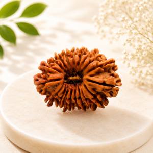 20 Mukhi Rudraksha