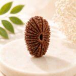 21 Mukhi Rudraksha