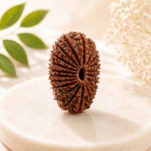 21 Mukhi Rudraksha