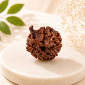 Ganesh Rudraksha