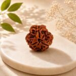 3 Mukhi Nepali Rudraksha