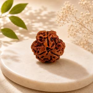 3 Mukhi Nepali Rudraksha