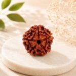 5 Mukhi Nepali Rudraksha