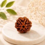 6 Mukhi Nepali Rudraksha