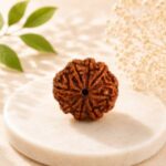 8 Mukhi Rudraksha