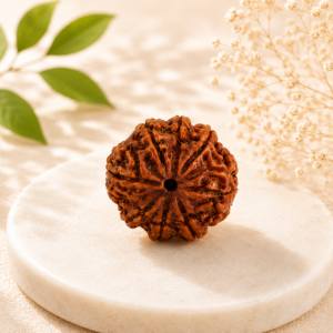 8 Mukhi Rudraksha