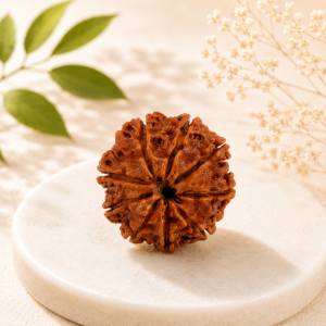 9 Mukhi Rudraksha
